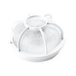 Tortuga redonda blanca