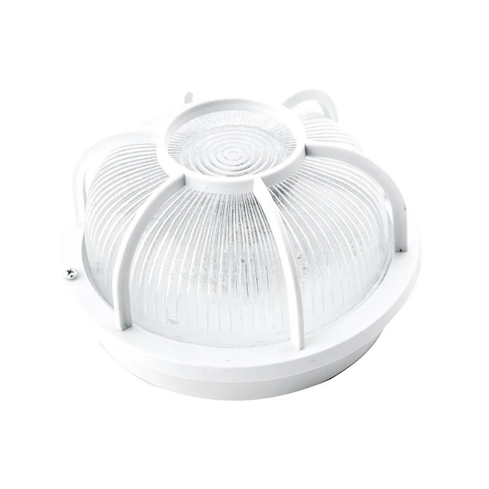 tortuga-redonda-blanca Tortuga redonda blanca